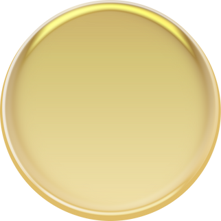 Liquid Gold Circle metallic frame
