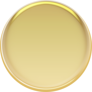 Liquid Gold Circle metallic frame